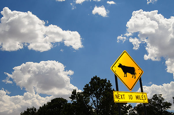 DSC_1429.jpg (4288x2848) NIKON D300 - 18-200mm f/3.5-5.6 // F11 // 1/250 sec // ISO 200 // 32,0 mm // Flash fired, return detected // 2008:07:08 14:48:05 DSC_1429.jpg (4288x2848) NIKON D300 - 18-200mm f/3.5-5.6 // F11 // 1/250 sec // ISO 200 // 32,0 mm // Flash fired, return detected // 2008:07:08 14:48:05